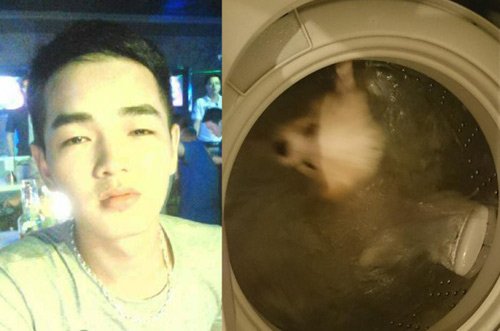 Nam thanh niên độc ác cho cún cưng vào máy giặt 1