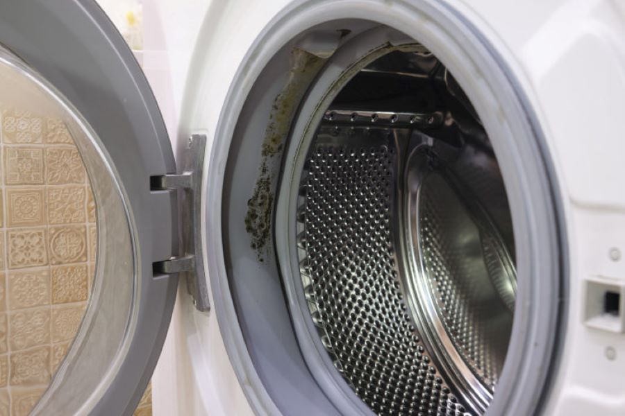 Gioăng cao su bị mốc là nguyên nhân chính khiến máy giặt có mùi hôi